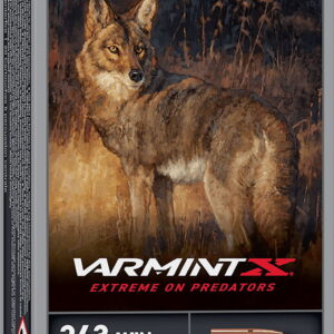 Winchester Ammo X243PXP Varmint X 243 Win 65 gr Extreme Point 20 Per Box/10 Case