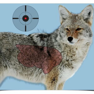 Birchwood Casey 35405 Pregame Coyote Paper Hanging Rifle 16.50" x 24" Impact Enhancement Yes 3 Per Pkg