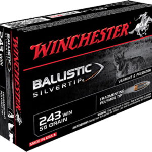 Winchester Ammo SBST243 Ballistic Silvertip 243 Win 55 gr Fragmenting Polymer Tip 20 Per Box/10 Case