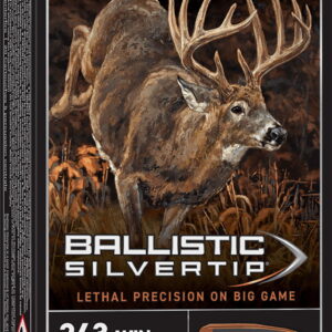 Winchester Ammo SBST243A Ballistic Silvertip 243 Win 95 gr Rapid Controlled Expansion Polymer Tip 20 Per Box/10 Case