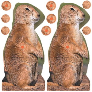 Birchwood Casey 34786 Shoot-N-C Reactive Target Self-Adhesive Paper Brown 8" Prairie Chuck Includes Pasters 12 PK