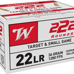 Winchester Ammo 22LR222HP USA 22 LR 36 gr Copper Plated Hollow Point 222 Per Box/10 Case