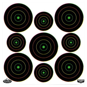 Birchwood Casey 35828 Dirty Bird Bullseye Tagboard Hanging Pistol/Rifle Black/Green 20 Per Pkg