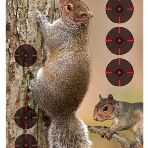 Birchwood Casey 35406 Pregame Squirrel Paper Hanging Rifle 12" x 18" Impact Enhancement 8 Per Pkg