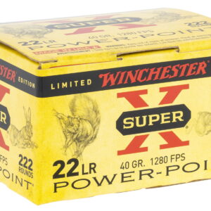 Winchester Ammo X22LRPPB Super X 22 LR 40 gr Plated Hollow Point 222 Per Box/10 Case