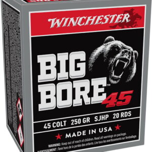 Winchester Ammo X45CBB Big Bore 45 Colt 250 gr Semi Jacketed Hollow Point 20 Per Box/10 Case