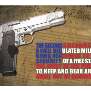 TekMat TEKR172AMEND Right To Bear Arms Cleaning Mat 2nd Amendment Illustration 11" x 17"