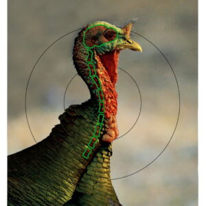Birchwood Casey 35403 Pregame Turkey Paper Hanging Universal 12" x 18" Multi-Color 8 Per Pkg