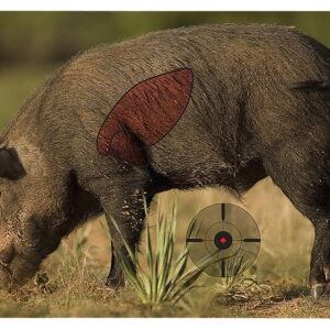 Birchwood Casey 35408 Pregame Boar Paper Target 16.50" x 24" 3 Per Pkg