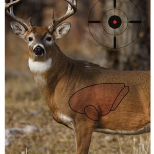 Birchwood Casey 35401 Pregame Deer Paper Hanging Universal 16.50" x 24" 3 Per Pkg