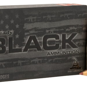 Hornady 80862 Black 300 Blackout 110 gr NTX 20 Per Box/10 Case