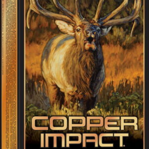 Winchester Ammo X300SCLF2 Copper Impact 300 WSM 180 gr Copper Extreme Point Lead Free 20 Per Box/10 Case
