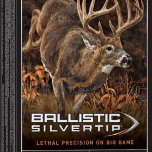 Winchester Ammo SBST300 Ballistic Silvertip 300 Win Mag 180 gr Rapid Controlled Expansion Polymer Tip 20 Per Box/10 Case